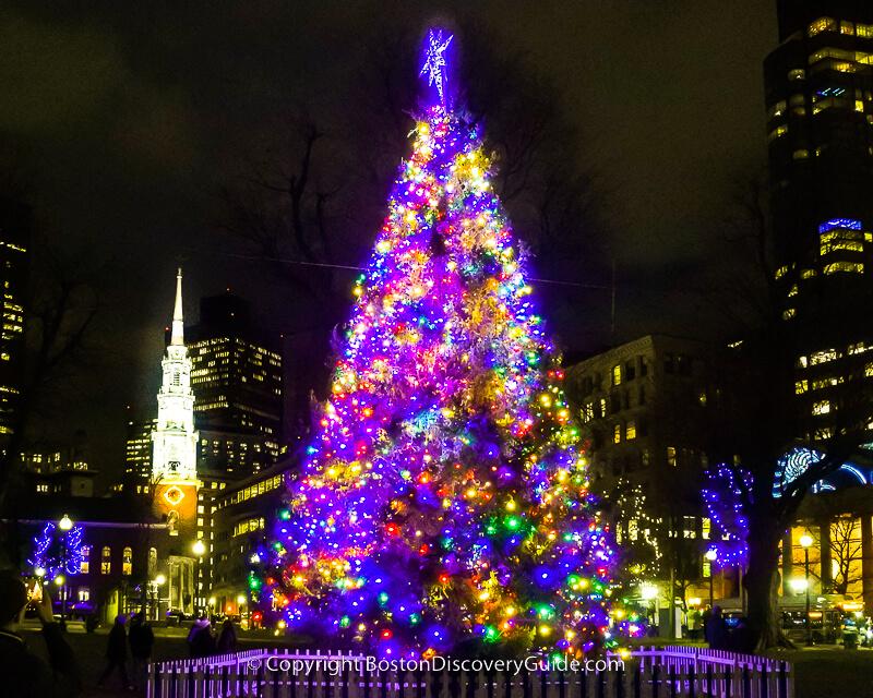 82nd Annual Boston Common Tree Lighting! - background banner