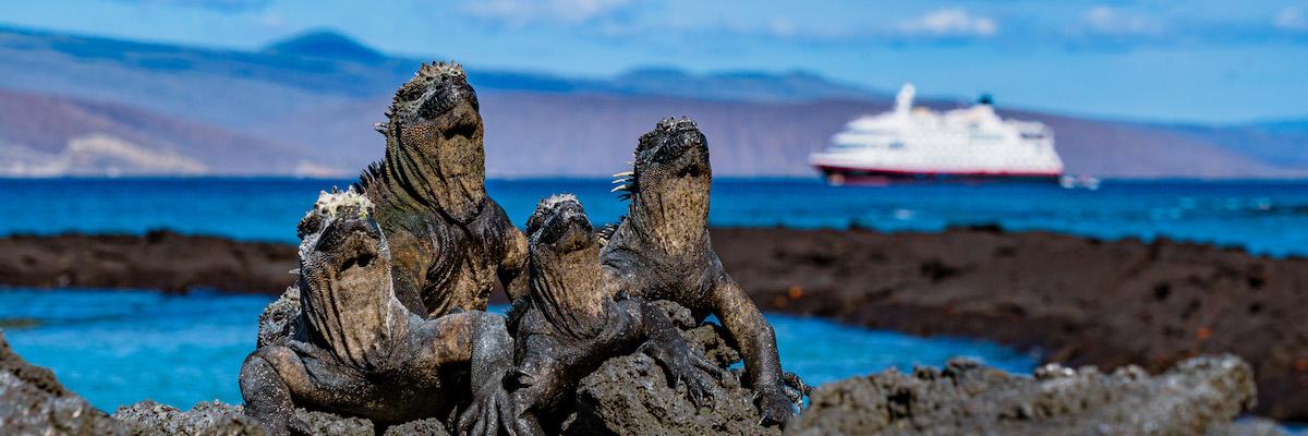 Croisière d'expédition aux Galápagos : achetez-en une et obtenez-en une ! - background banner